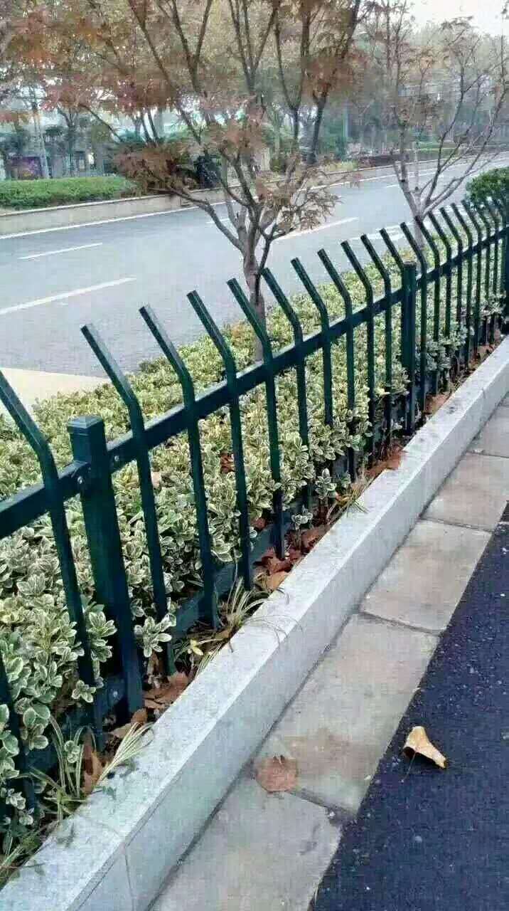 锌钢草坪护栏安装案例